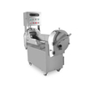 QC Multifunctional vegetable cutter