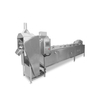LPT Chain type blanching machine