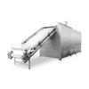DW Belt type drier