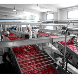 Tomato paste production line