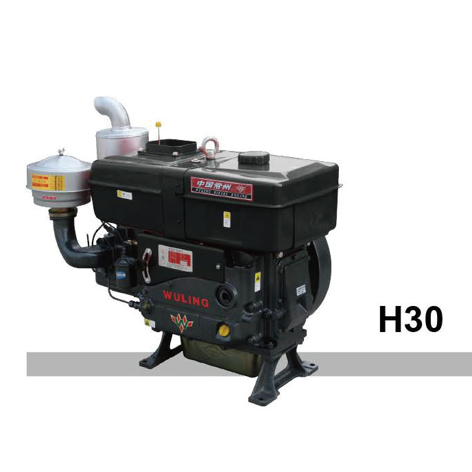 Diesel Engine H30