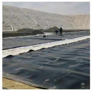 HDPE Geomembrane