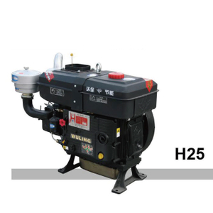 Diesel Engine H25