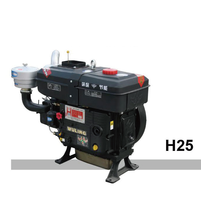 Diesel Engine H25