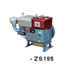 Diesel Engine ZS195 ZS195-1 ZS1100 ZS1105