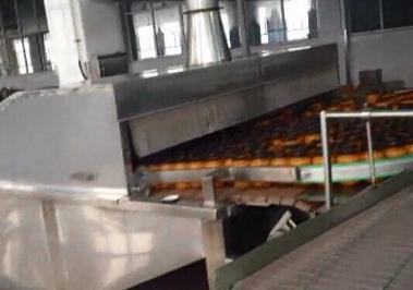 Canned Processing Machine