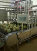 Coconut Processing Machine