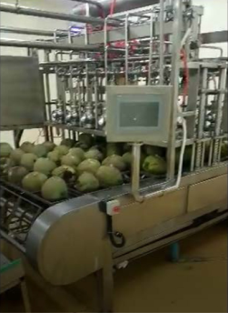 Coconut Processing Machine