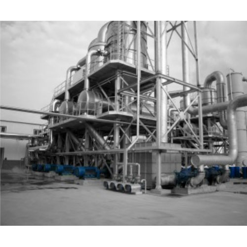 Tomato paste production line