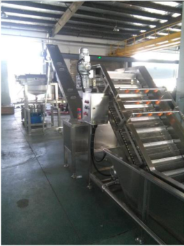 Coconut Processing Machine