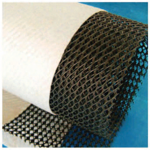 Tri-dimension Composite Draiage Net