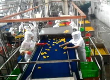 Canned Processing Machine