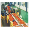 Production line of orange
