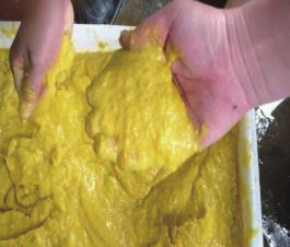 Pulp refiner/Pulping and Refining