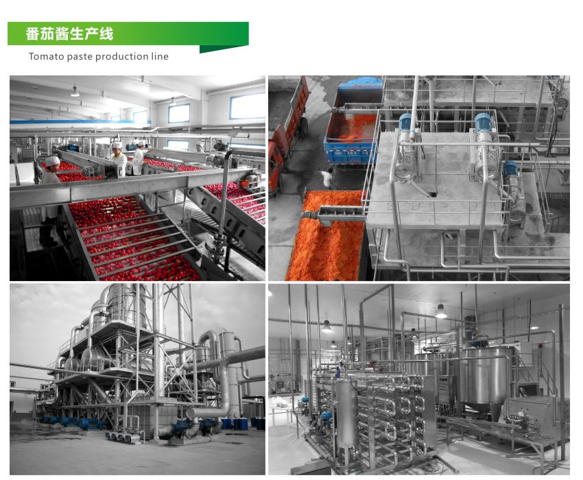 番茄生产线2
