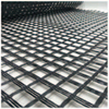 Geogrid