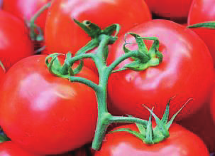 Crusher/Mango Crusher/Extractor