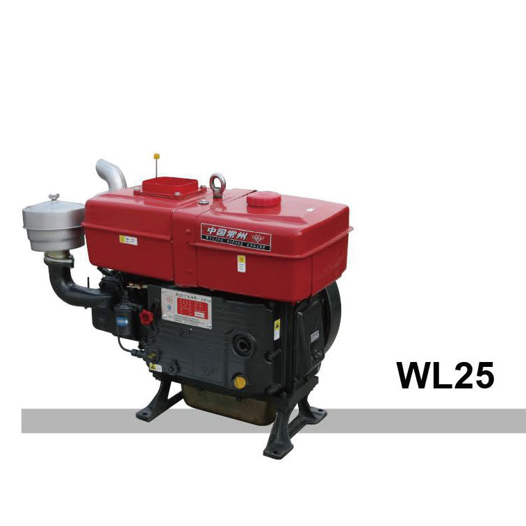 Diesel Engine WL25